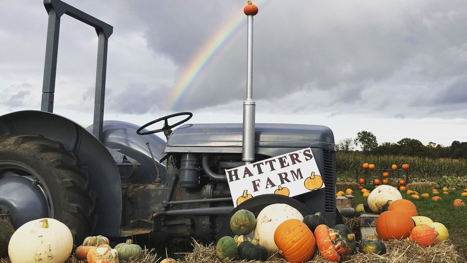 Hatters Farm